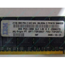 IBM 73P2871 73P2867 2Gb (2048Mb) DDR2 ECC Reg memory (Котельники)