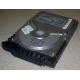 Жесткий диск 18.4Gb Quantum Atlas 10K III U160 SCSI (Котельники)
