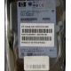 Жёсткий диск 146.8Gb HP 365695-008 404708-001 BD14689BB9 256716-B22 MAW3147NC 10000 rpm Ultra320 Wide SCSI купить в Котельниках, цена (Котельники).