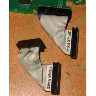 6017B0045701 Шлейф 24 pin для Intel C74974-401 T0043401-B01 корпуса SR2400 (Котельники)