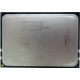AMD Opteron 6128 OS6128WKT8EGO (Котельники)