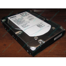 Жесткий диск 300Gb 15k Dell 9CH066-050 ST3300656SS Cheetah 15K.6 6G SAS (Котельники)