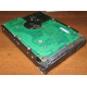Жесткий диск 300Gb 15k Seagate Cheetach ST3300656SS 15K.6 Dell 9CH066-050 6G SAS (Котельники)